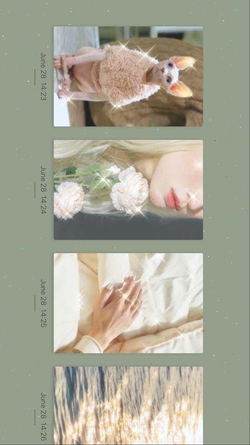 chiccam׿ 1.2.5