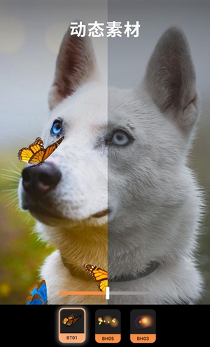 motionleapİ 1.2