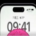 vivoapp 1.2.5