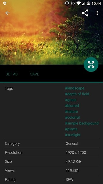 wallhaven׿ֻapp 6.6.6