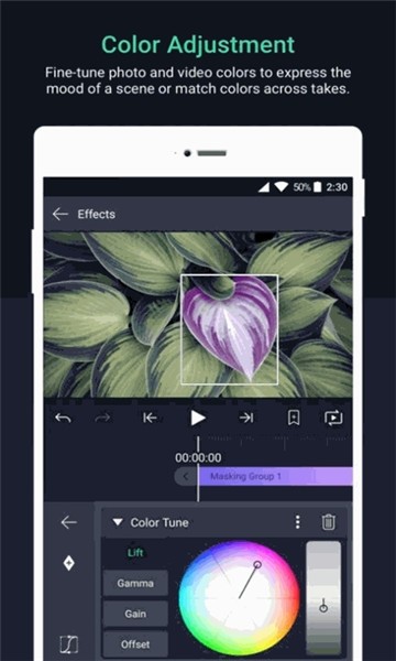 alight motionİ 4.62.95