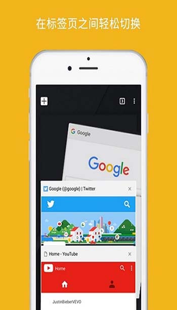 ȸgoogle chrome° 65.0.3325.109