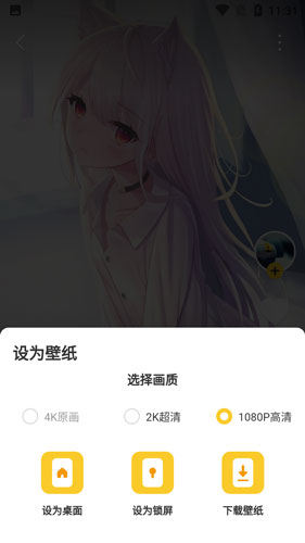 ԪֽVIPذװ 3.52.4331