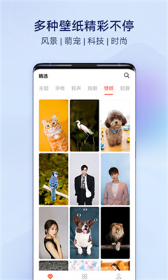 iapp׿ 5.2.4.0