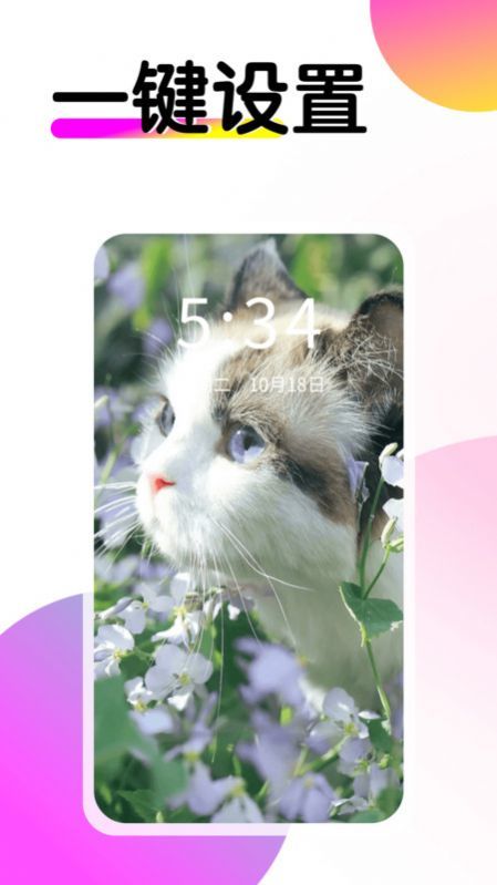 ֽapp׿ 1.0.00.001