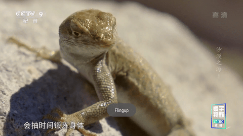 ǻӴapp 2.0.0.5