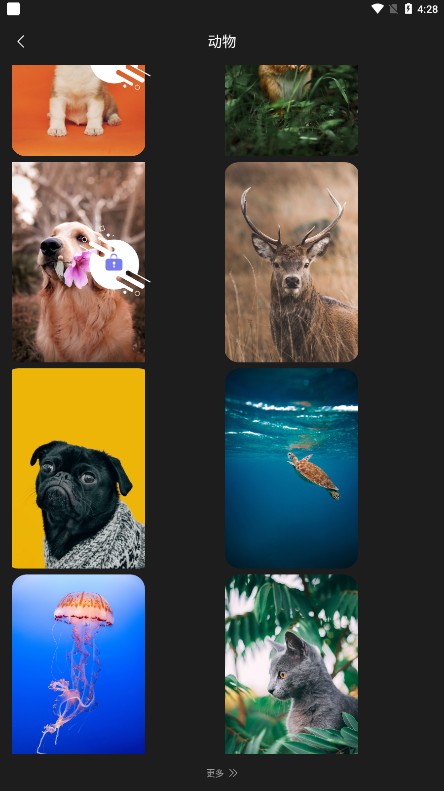 ҵֽapp° 1.7