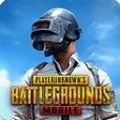 pubg°