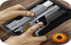 ʵģ
