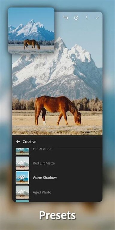 lightroomİ׿Ѱ 10.1.0