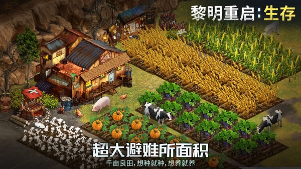  v1.1.47