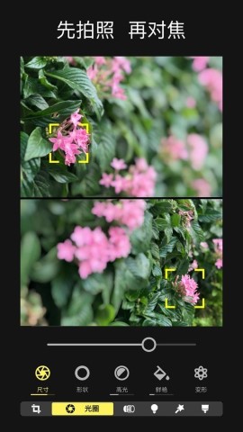 focosշѰapkapp 14.0.1