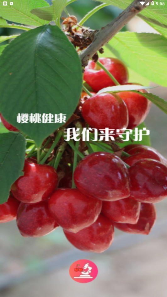 ӣҽapp 1.2.6