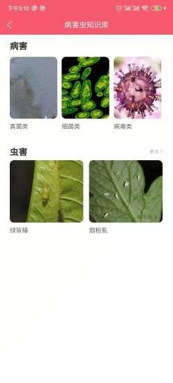 ӣҽapp 1.2.6