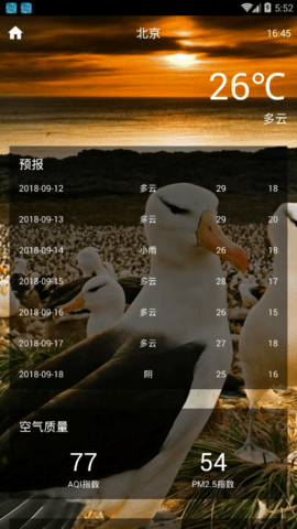绢Ԥapp 1.0.1