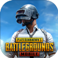PUBG MOBILE2025ٷ