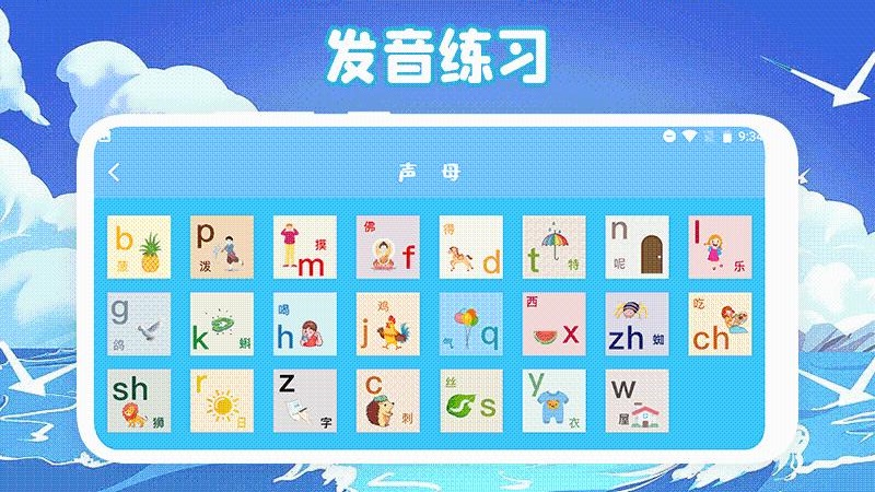 ʶPro 1.1