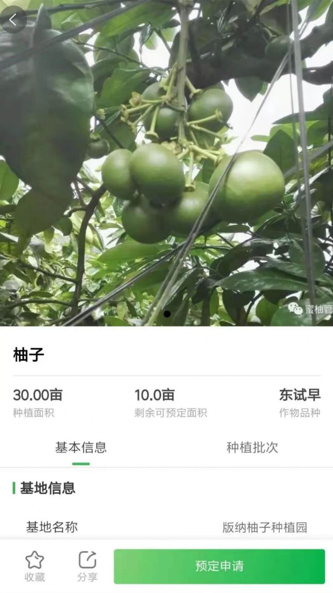 ѡapp 3.1.7