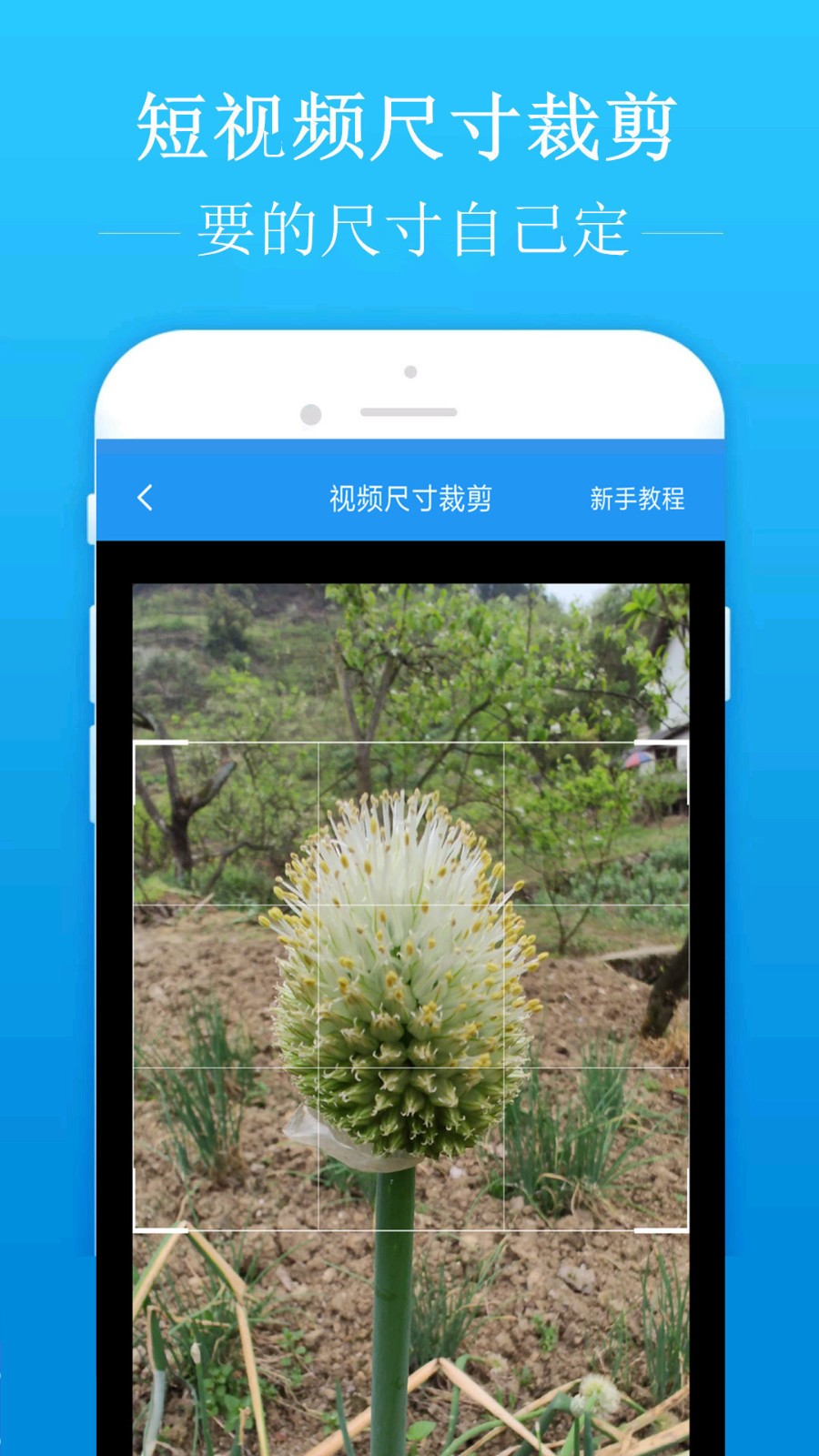 ȥˮӡapp 1.8.1
