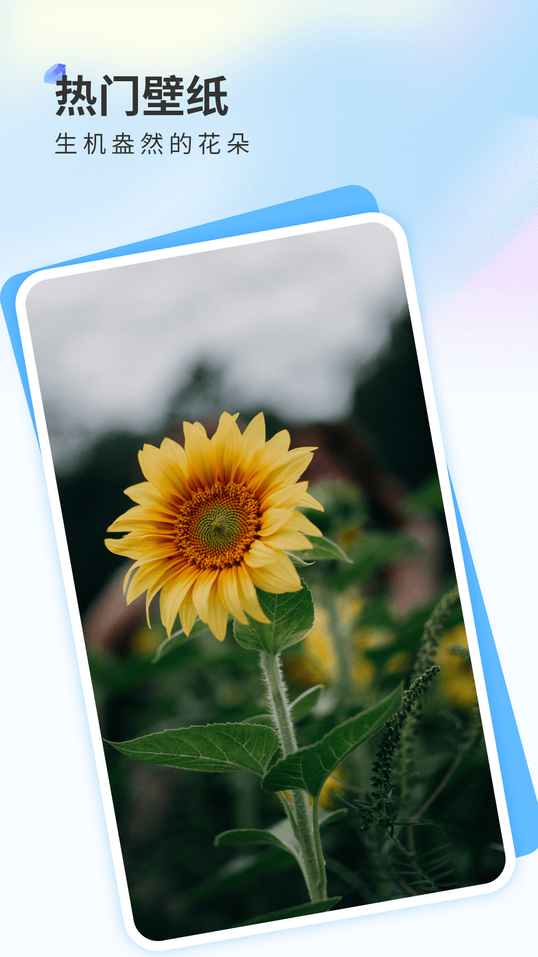 ֽڹapp 5.3.4