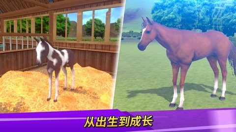 ± V1.8.82