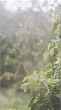 ߶app 1.0