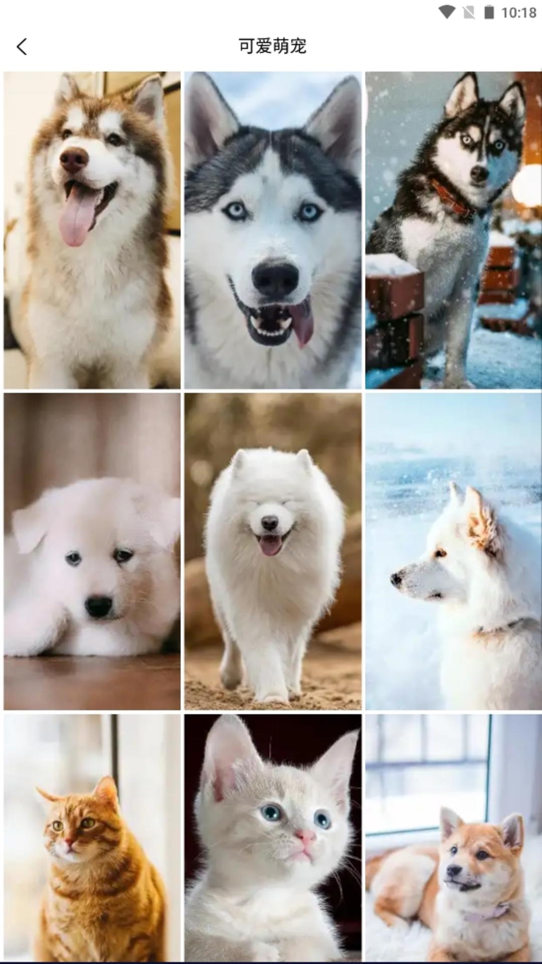 ֽСapp 1.0.1