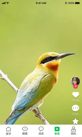 app 2.0.5