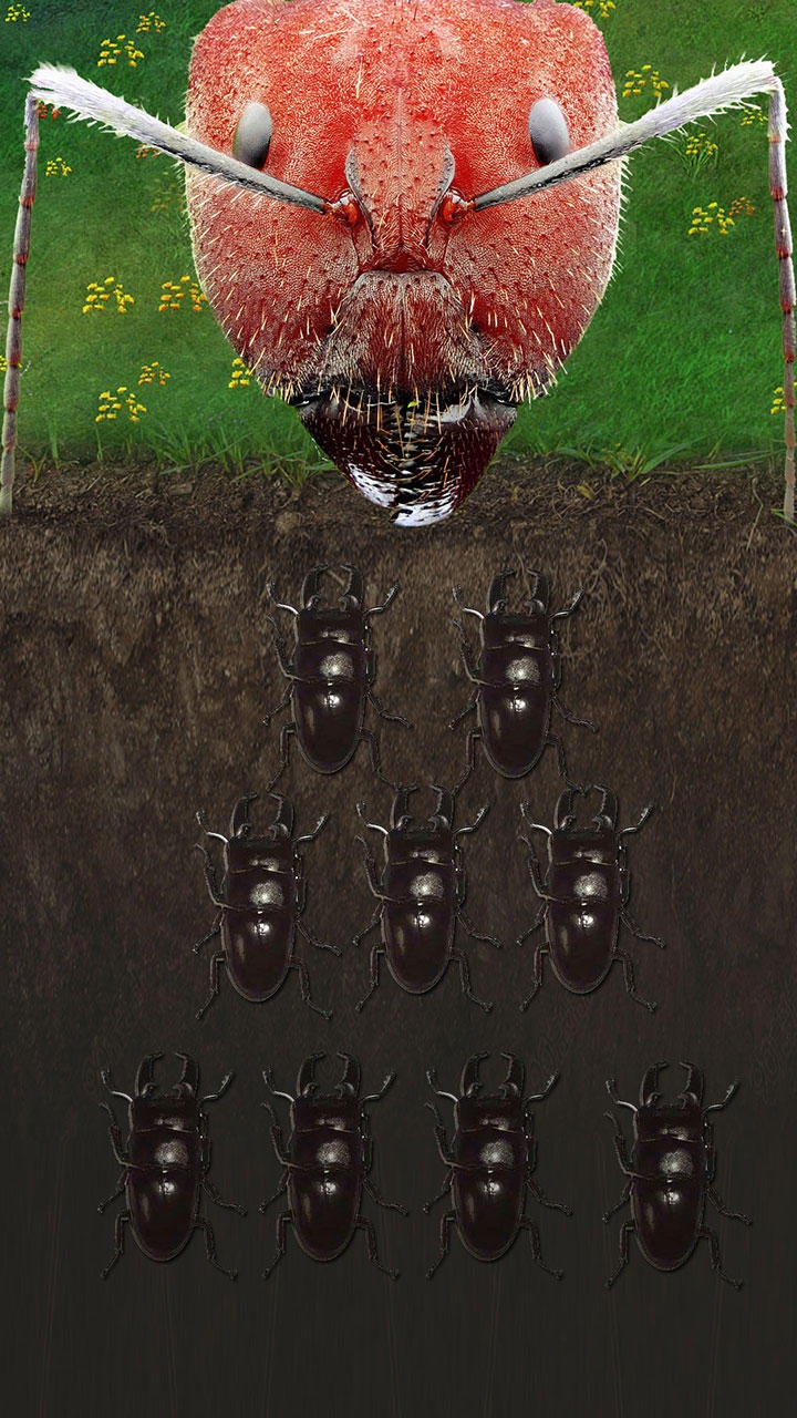ϵϹѰ V3.0.0