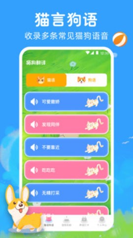 è﷭app 2.0.1
