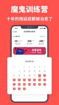 شapp 11.50