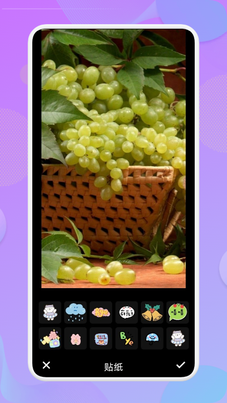 羰app 1.1