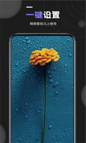 Աֽȫapp 1.2