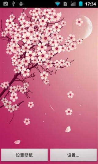 ӣֽ̬app 3.18