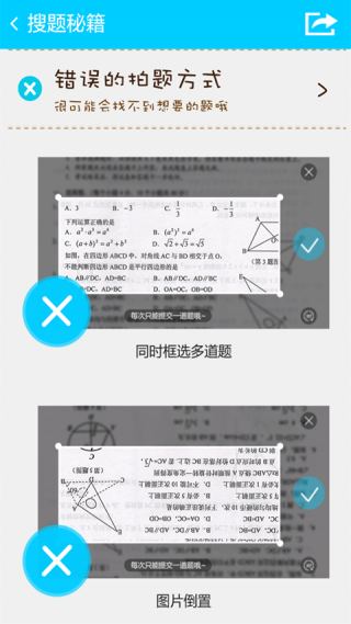 СԭappԤԼ 