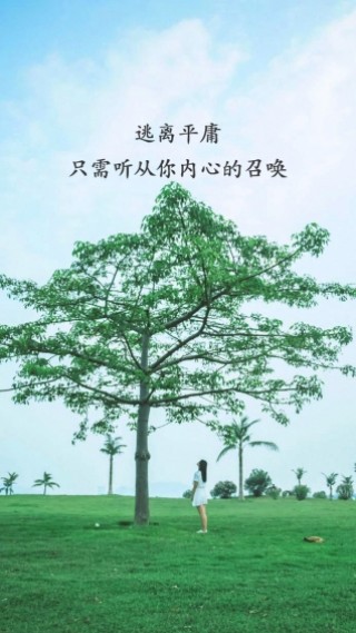 app 1.1.8