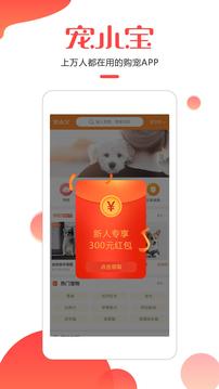 Сapp 1.0.4