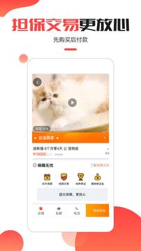 Сapp 1.0.4