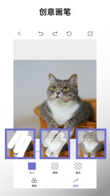 Чapp 1.0