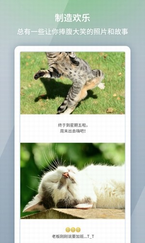 LONPICapp 1.0