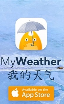 ҵapp 0.3.16