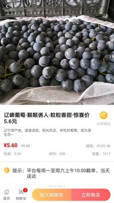 ʳapp 2.5.4