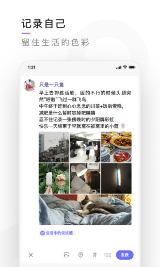 мapp 0.1.13