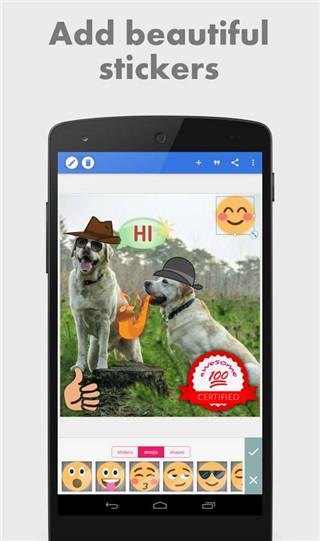 pixellabѰ 1.9.9