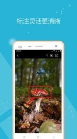 ԶͶӰappذװ 1.0.0