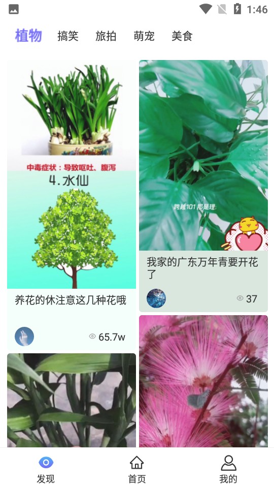 ͼapp 3.6.4