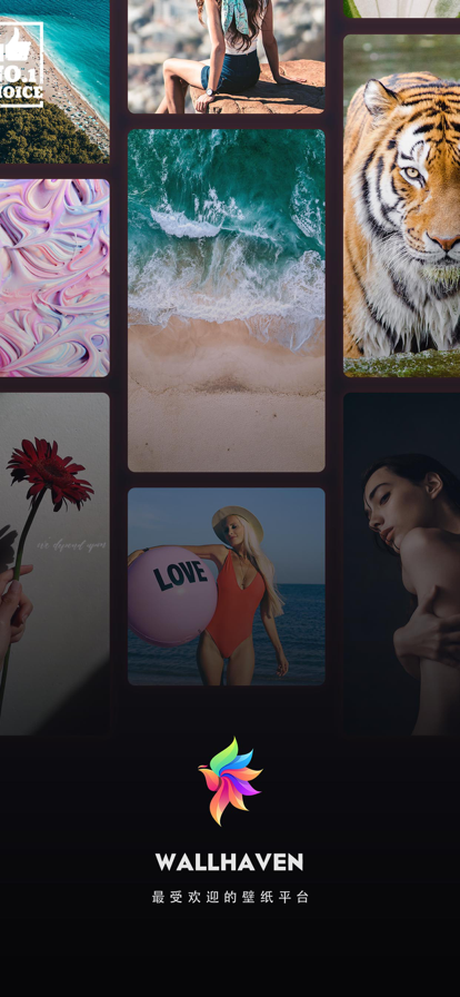 wallhavenģʽappذװ 1.6.0