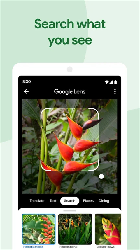 ȸapp°ذװ 1.16.0.117494210