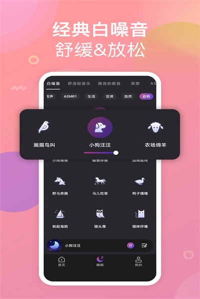 Сapp 1.0.0