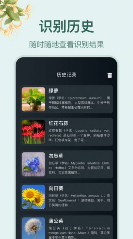 ݰٿʶapp 1.1